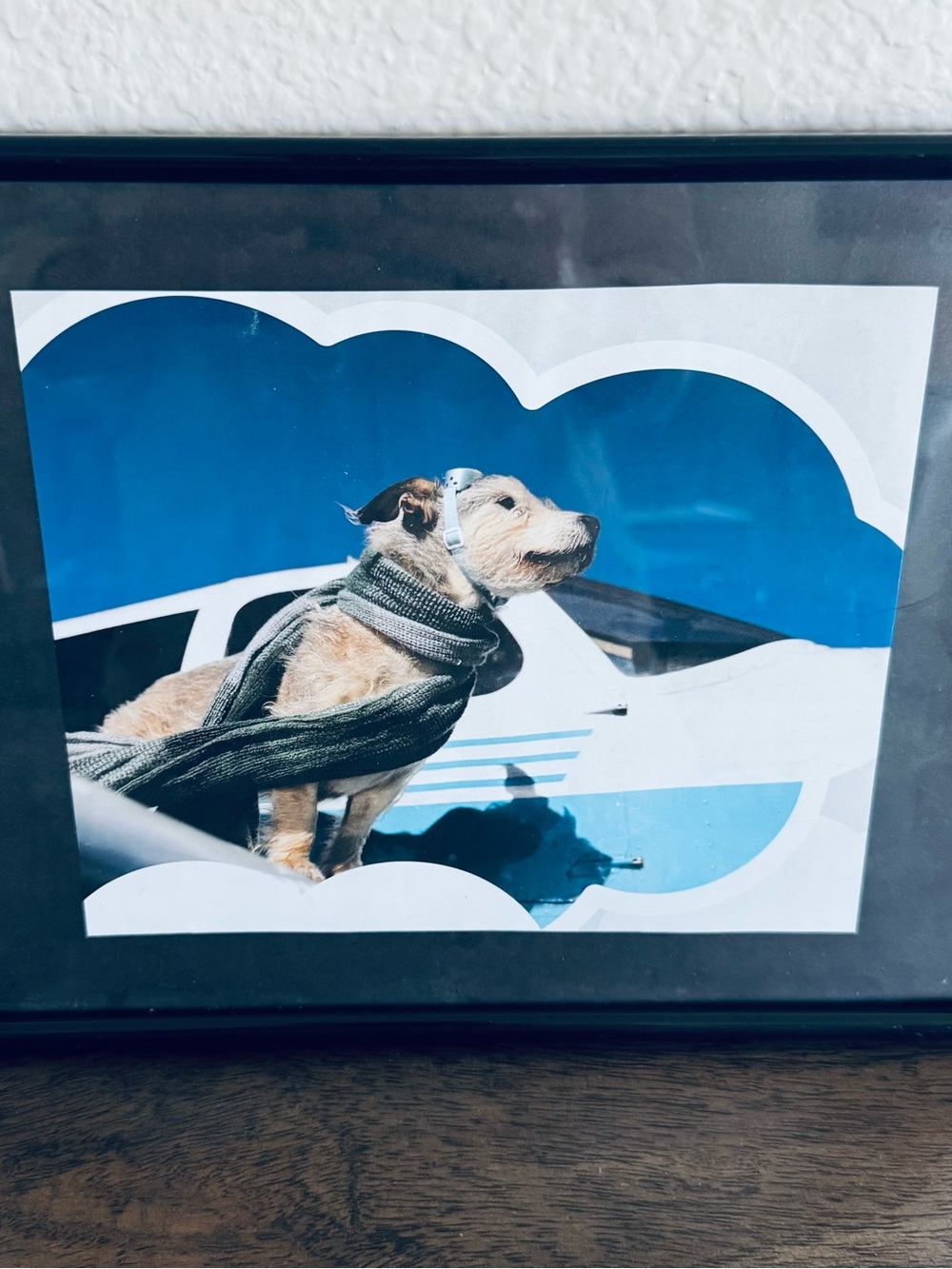 Framed Aviator Pilot Dog Airplane Art